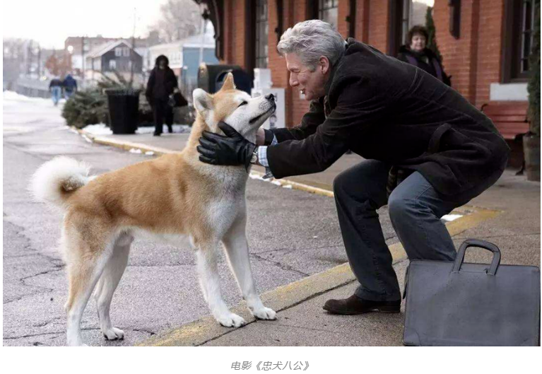 1710921704706259.png image.png