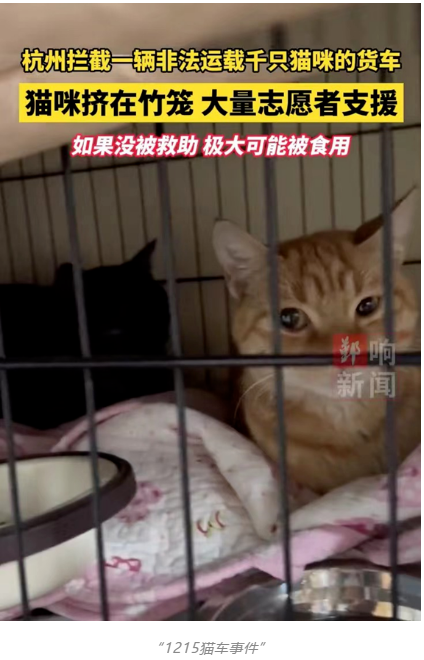 1710921730283484.png image.png