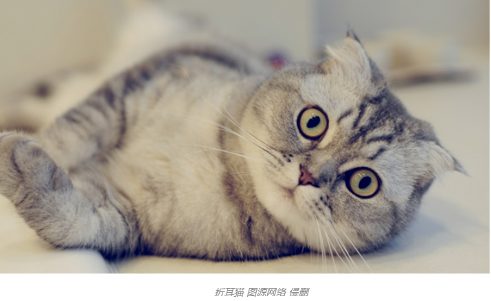 1710921783979380.png image.png